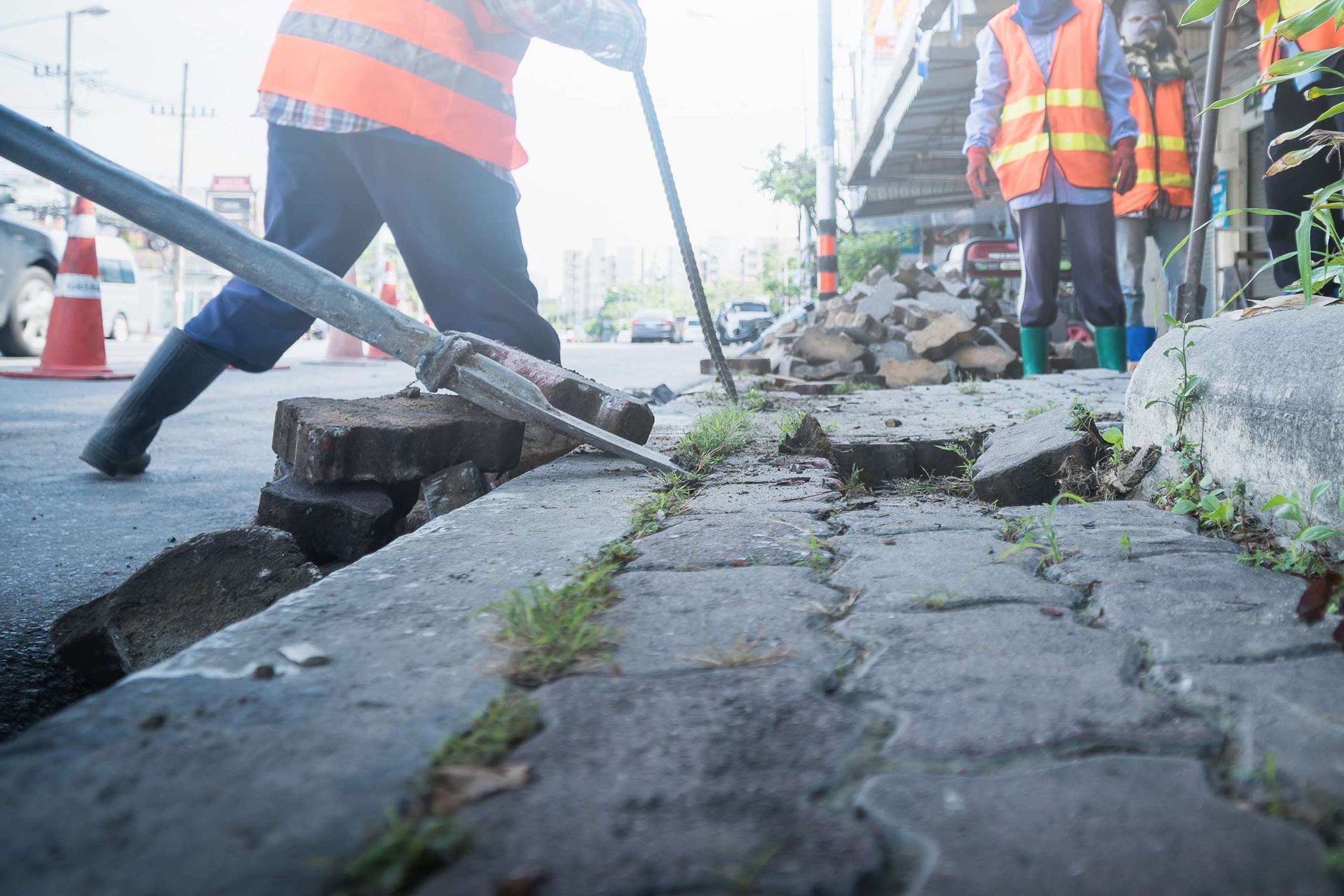 firmy wyburzeniowe dolny śląsk, kostka brukowa ceny dolnośląskie, kostka brukowa legnica, koszenie trawy dolnośląskie, koszenie trawy legnica, zieleń legnica